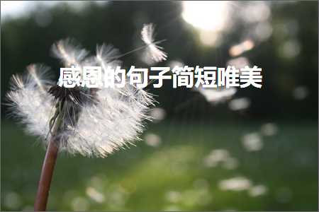 鎰熸仼鐨勫彞瀛愮畝鐭敮缇庯紙鏂囨555鏉★級