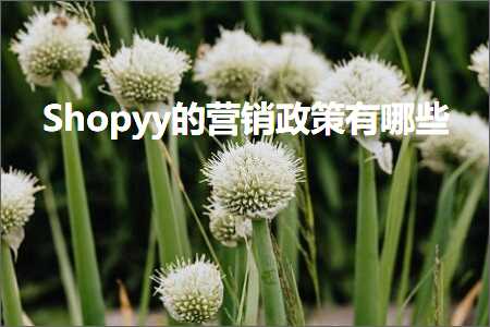 璺ㄥ鐢靛晢鐭ヨ瘑:Shopyy鐨勮惀閿€鏀跨瓥鏈夊摢浜? width=