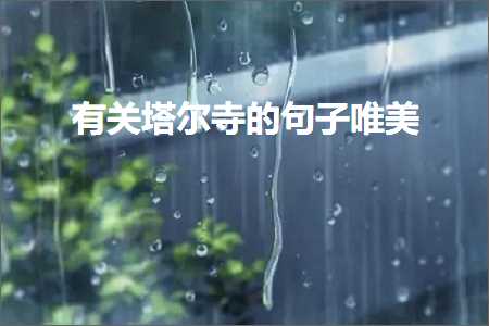 瀛楅噷琛岄棿閫忛湶鍑轰激鎰熺殑鍞編鍙ュ瓙锛堟枃妗?37鏉★級