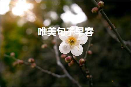 文字唯美小清新长句子（文案128条）