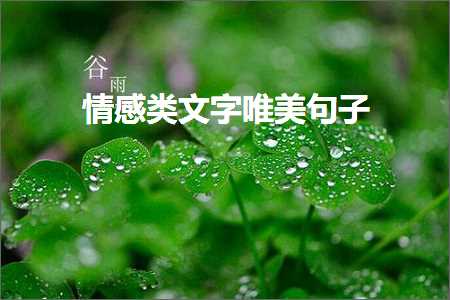 鎯呮劅绫绘枃瀛楀敮缇庡彞瀛愶紙鏂囨354鏉★級