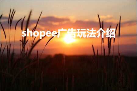 璺ㄥ鐢靛晢鐭ヨ瘑:shopee骞垮憡鐜╂硶浠嬬粛