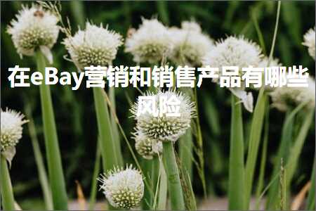 璺ㄥ鐢靛晢鐭ヨ瘑:鍦╡Bay钀ラ攢鍜岄攢鍞骇鍝佹湁鍝簺椋庨櫓